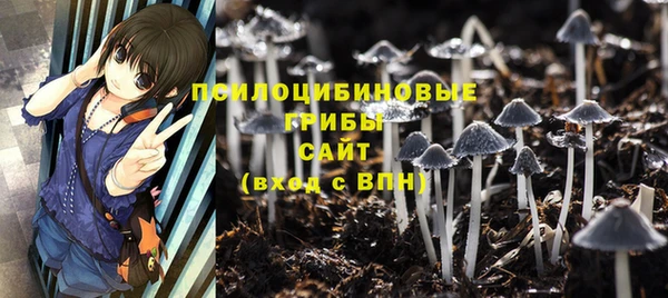 spice Михайловка