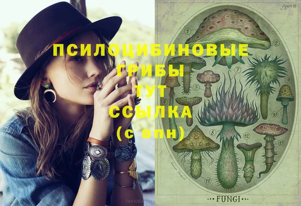 spice Михайловка