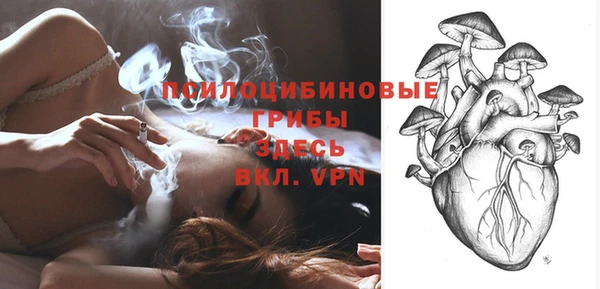 дживик Михайловск