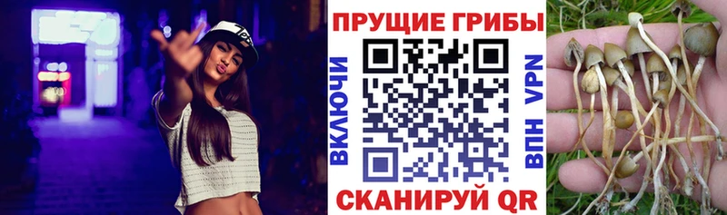 Псилоцибиновые грибы ЛСД  Кондопога 